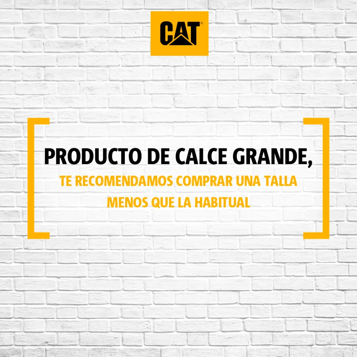 Chaqueta Hombre Quilted Insulated Ve Cat - Imagen 6