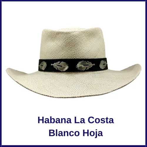 Sombreros Panamá Finos y Originales - Imagen 4